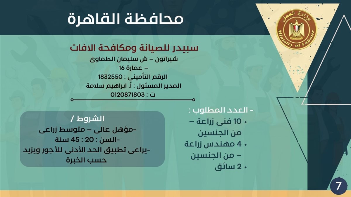 فرص التوظيف بمحافظة القاهرة