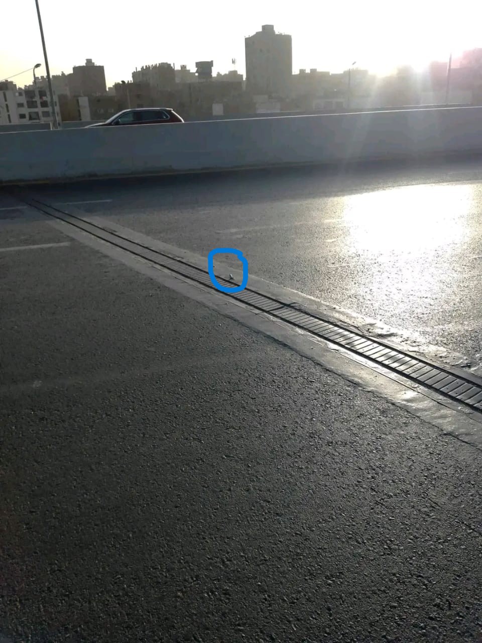 صورة من واقعة ظهور سيخ حديد منتصف الطريق أعلى محور أحمد عرابي