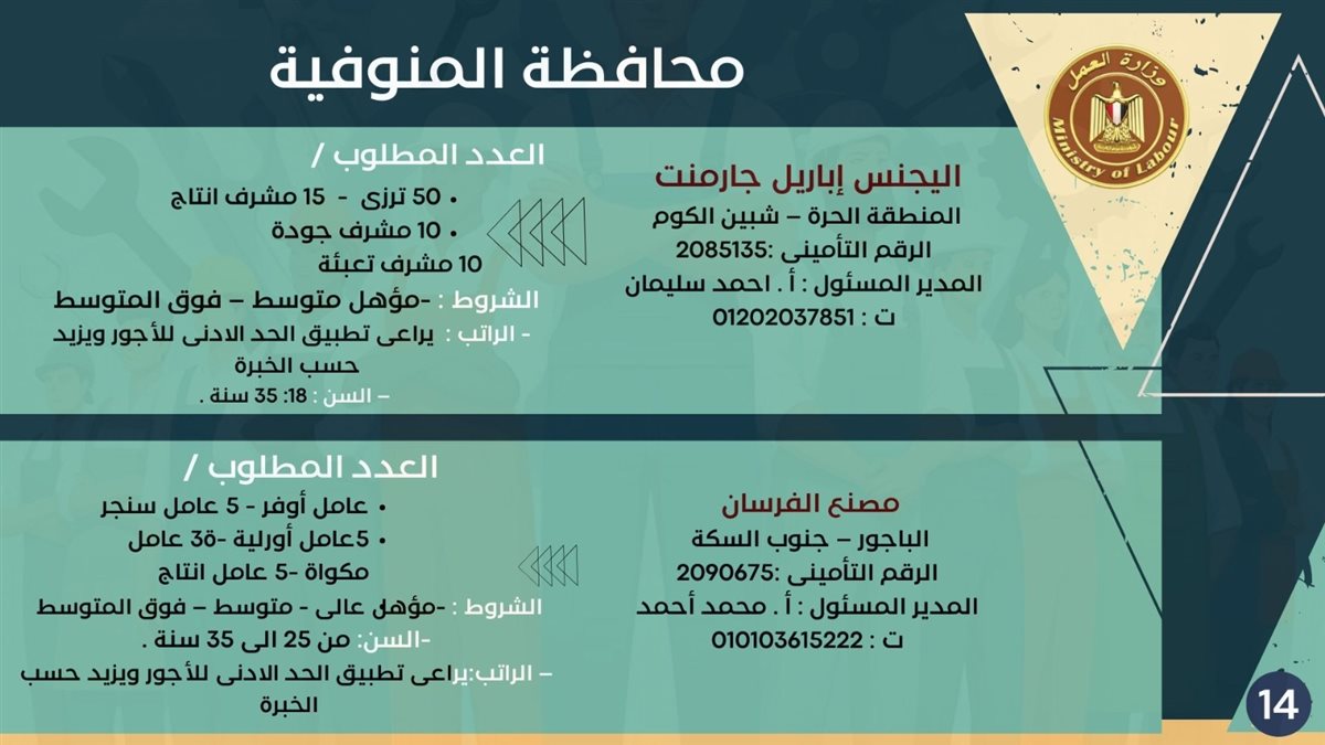 فرص التوظيف بمحافظة المنوفية