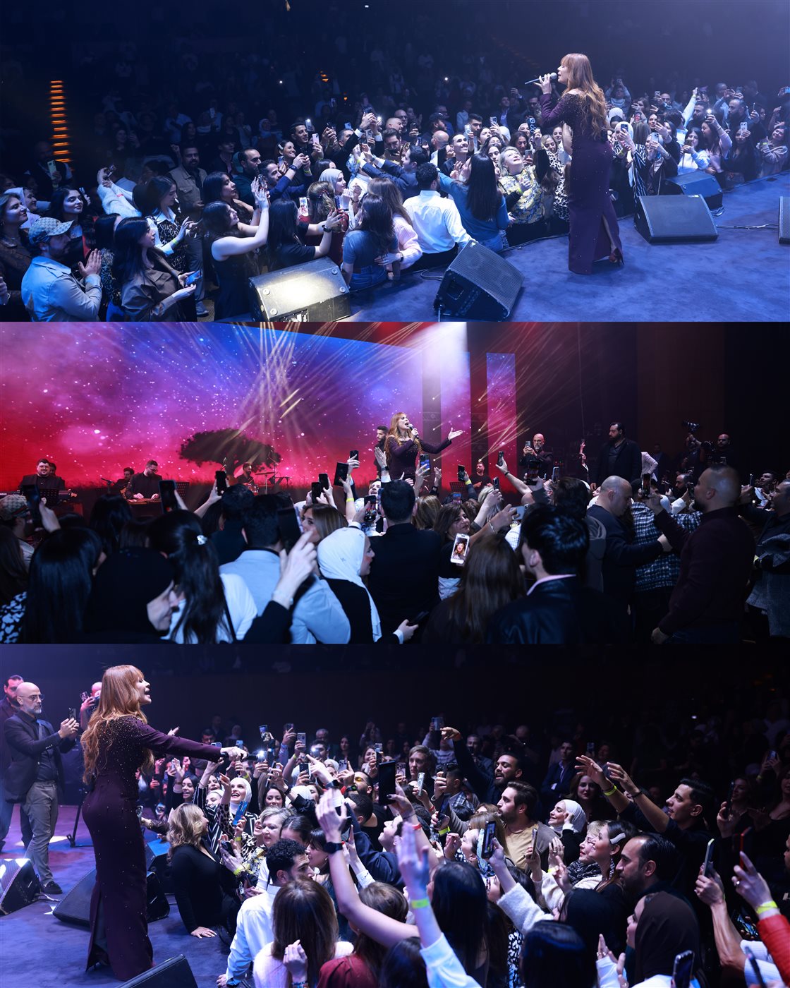 كارول سماحة في حفلها