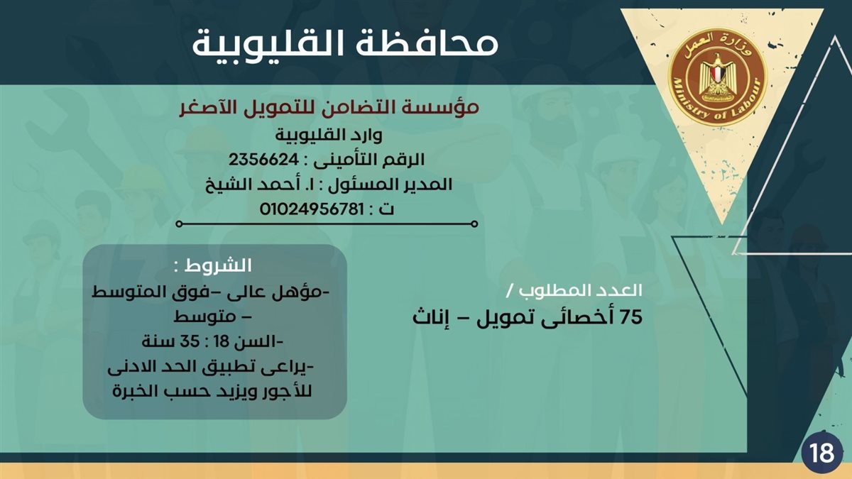 فرص التوظيف بمحافظة القليوبية