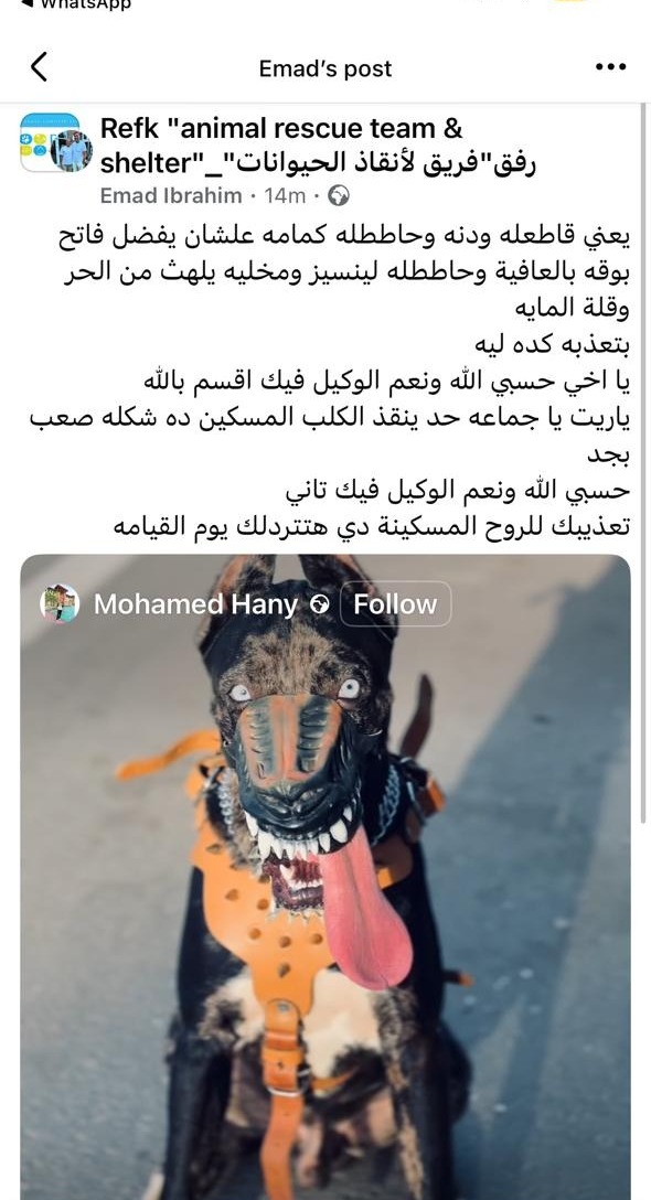 منشور عبر فسيبوك 