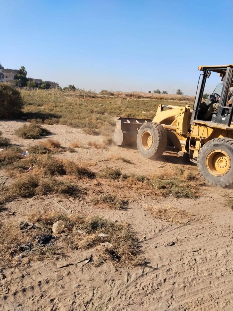 حملات نظافة بالمواقع الآثرية بالأقصر 