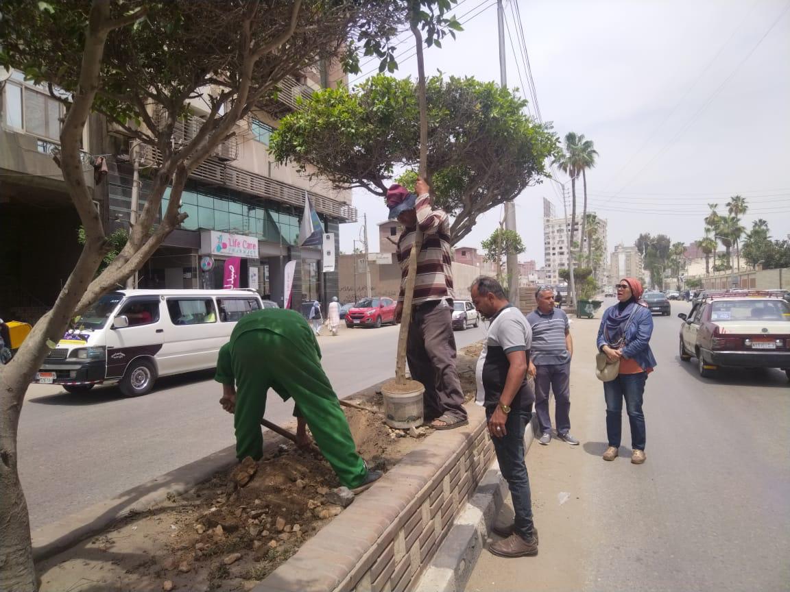  انطلاق المرحلة الرابعة من المبادرة الرئاسية 100 مليون شجرة