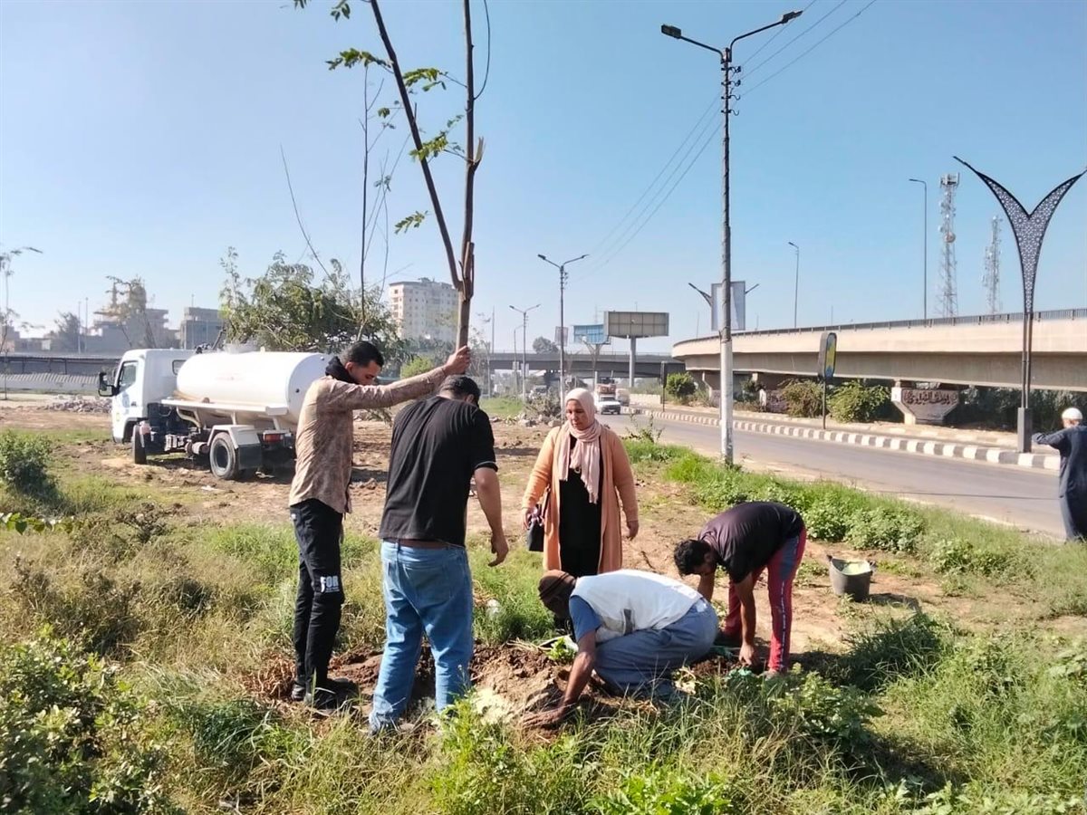  انطلاق المرحلة الرابعة من المبادرة الرئاسية 100 مليون شجرة