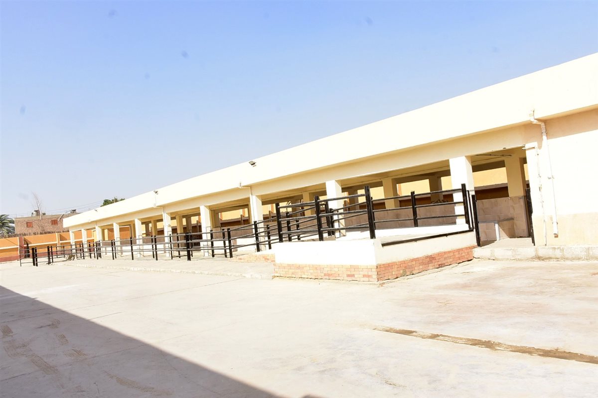 جولة محافظ الأقصر