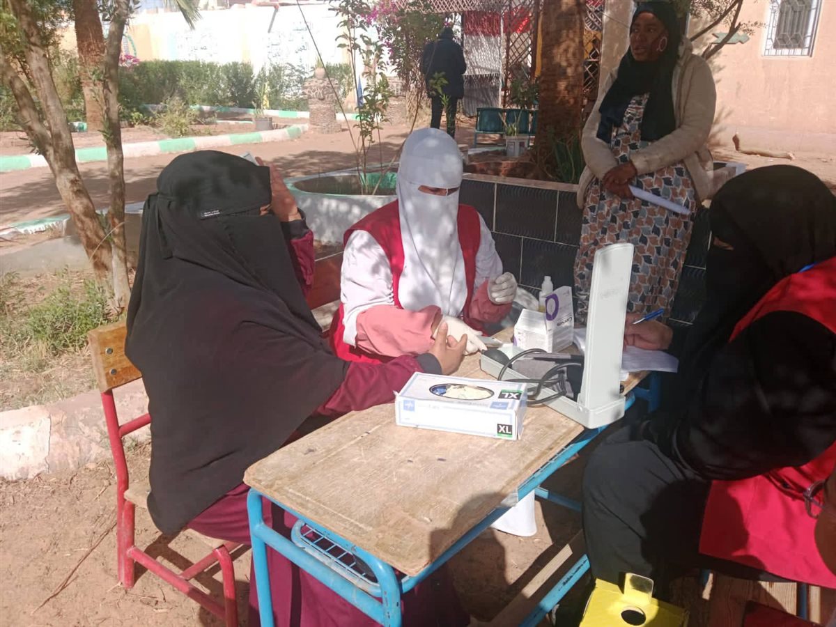 جانب من مبادرات صحة الوادى الجديد امام اللجان