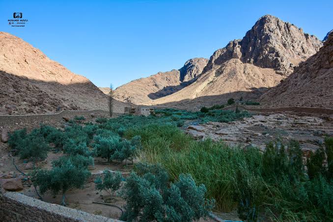 وادي الأربعين في سانت كاترين