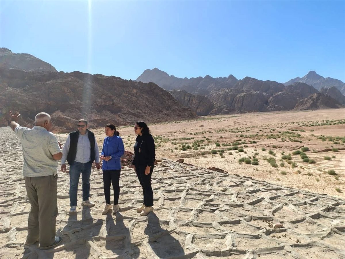 لجنة للمرور علي مخرّات السيول والبرابخ