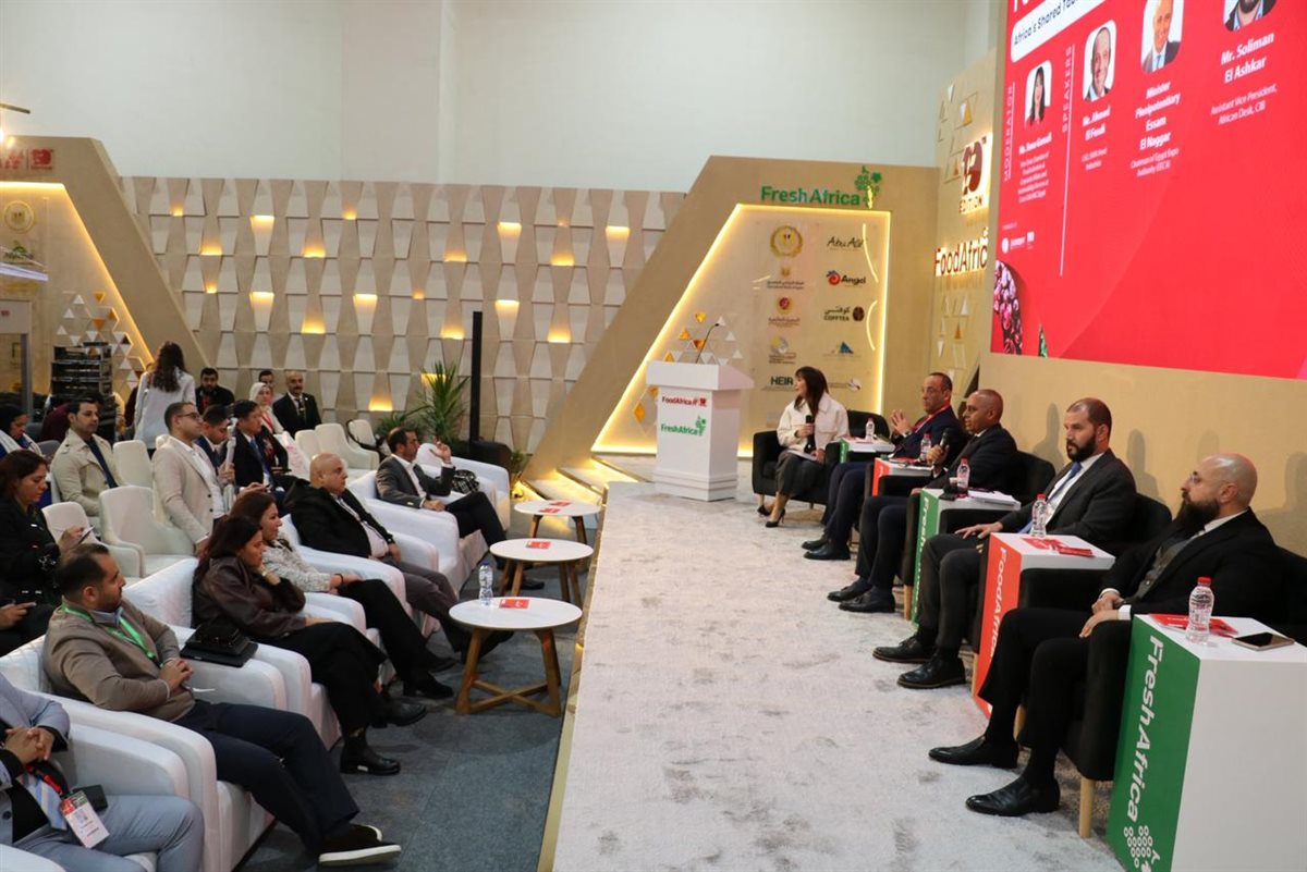 جانب من الجلسة النقاشية