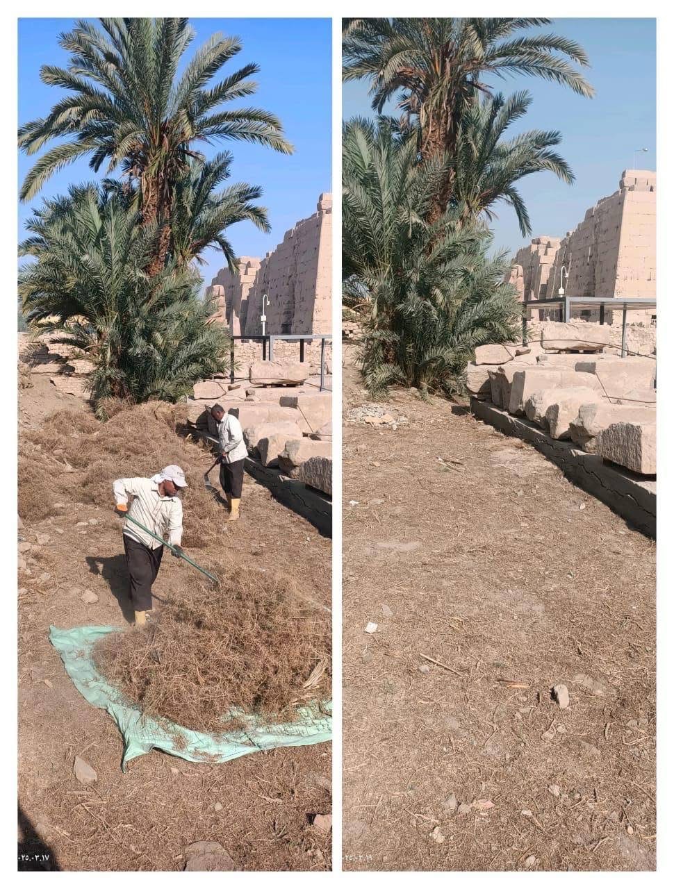 تطهير المعالم الأثرية في الأقصر