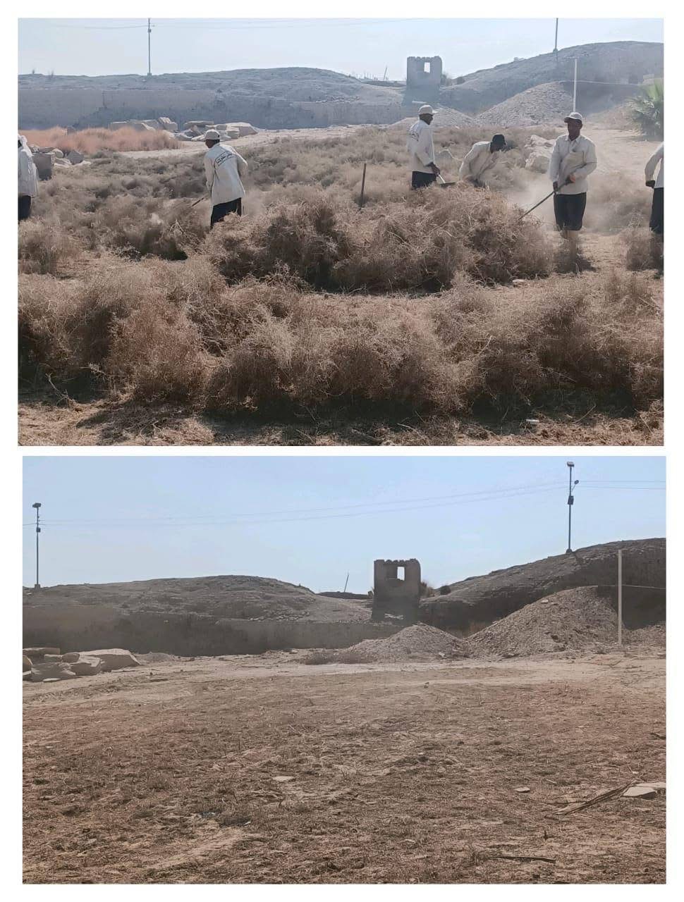 تطهير المعالم الأثرية في الأقصر