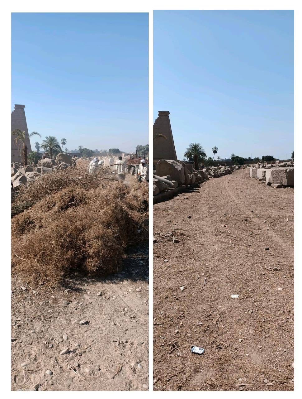 تطهير المعالم الأثرية في الأقصر