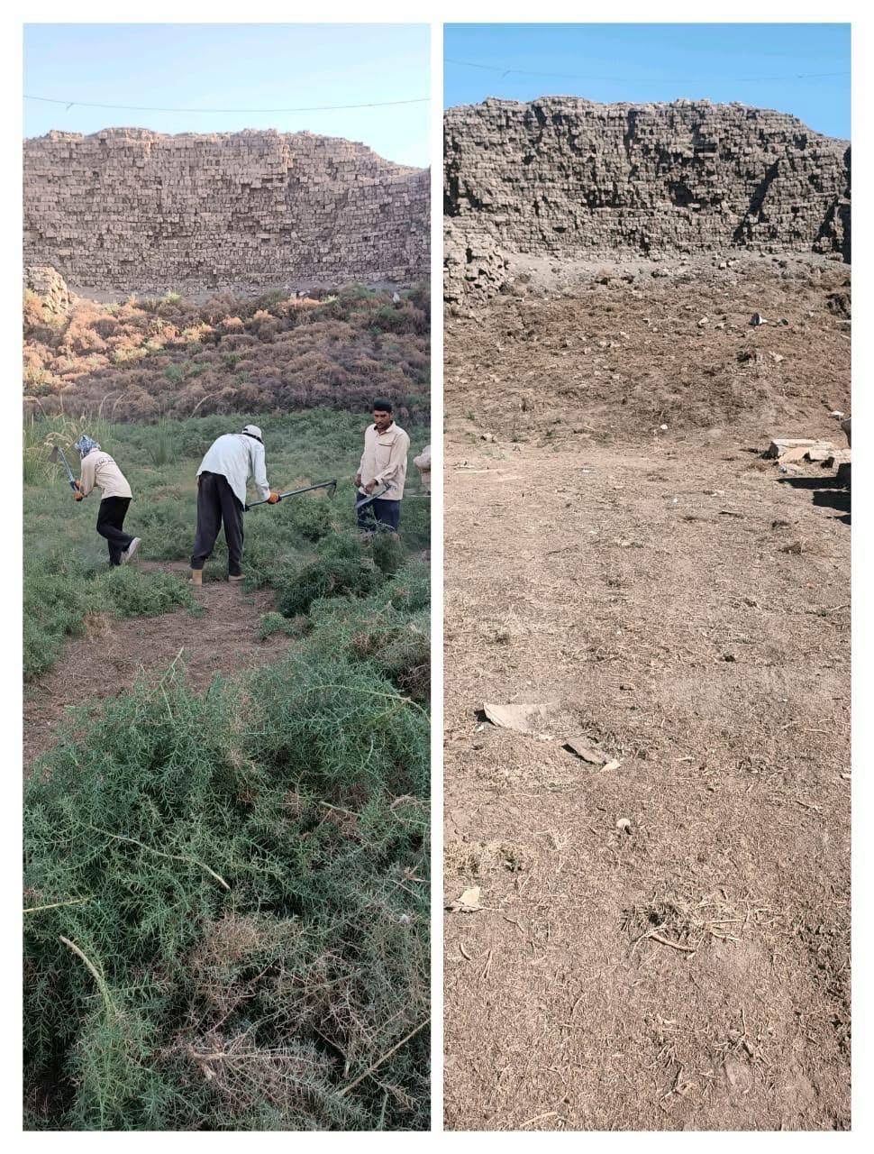 تطهير المعالم الأثرية في الأقصر