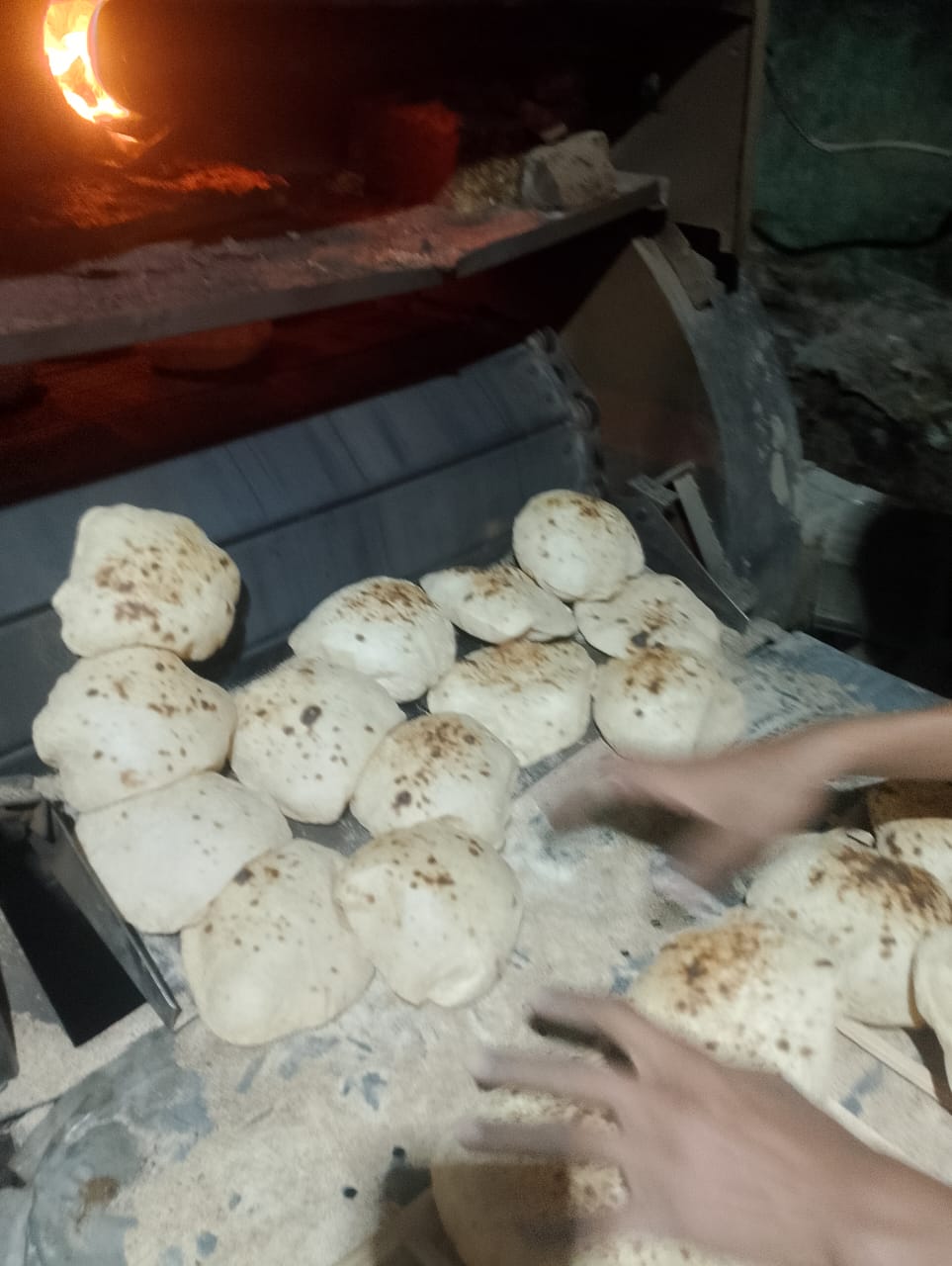 تموين الفيوم يضبط 108 مخالفات تموينية متنوعة خلال حملات رقابية