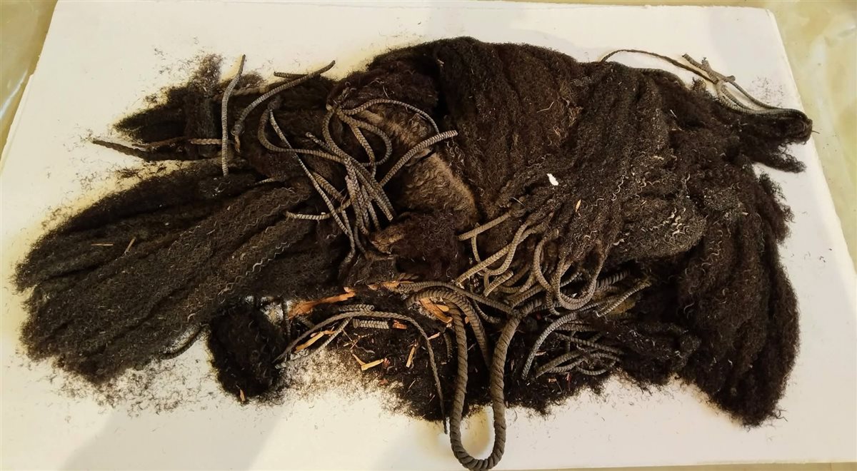 المتحف المصري يكشف لأول مرة عن باروكتي يويا وتويا