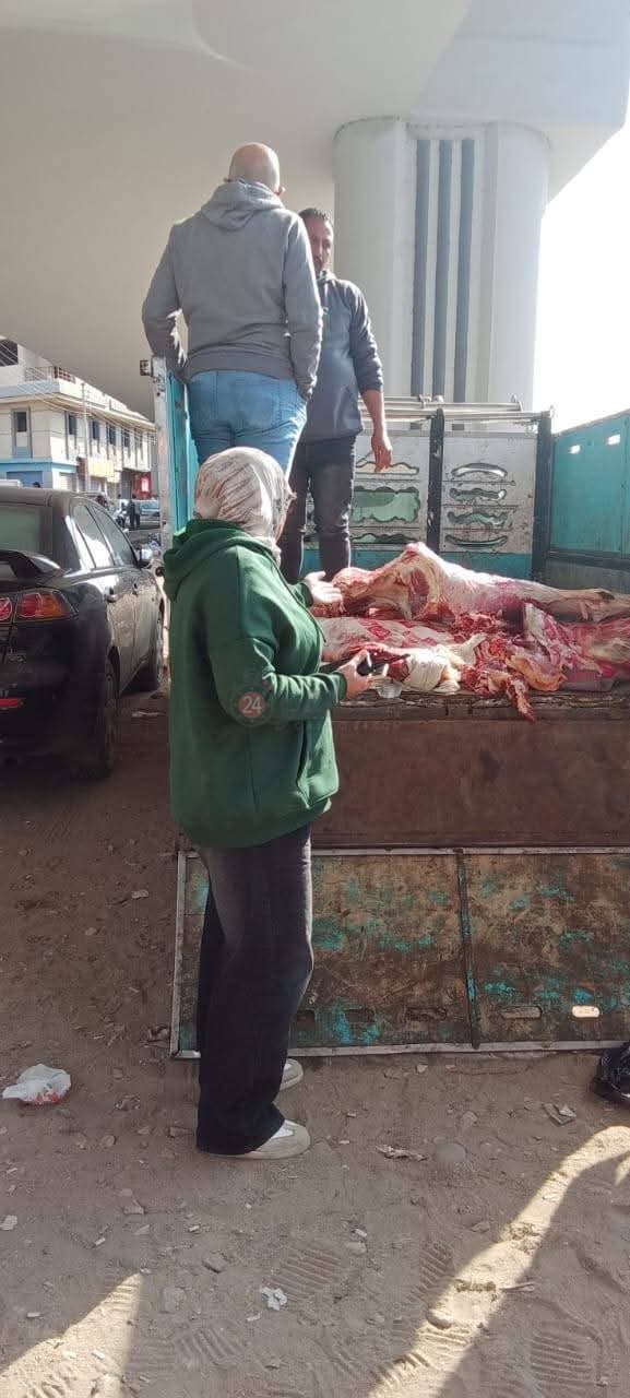 مصابة بالحمى.. ضبط 500 كجم لحوم بلدية مختومة بأختام مزورة بالمنوفية