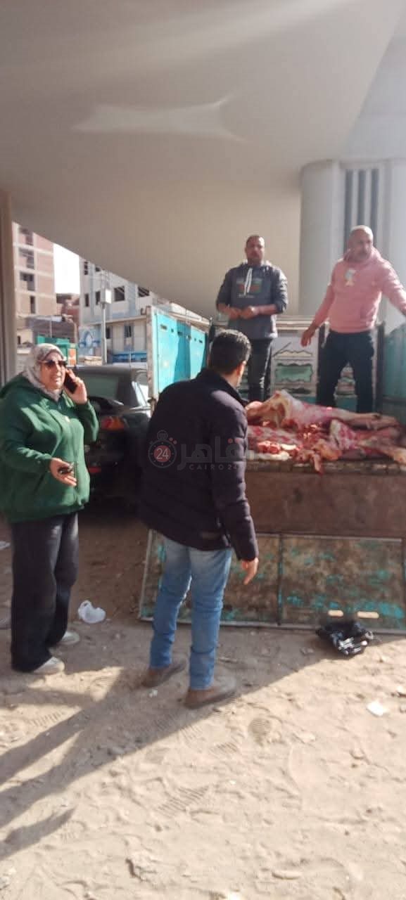 مصابة بالحمى.. ضبط 500 كجم لحوم بلدية مختومة بأختام مزورة بالمنوفية