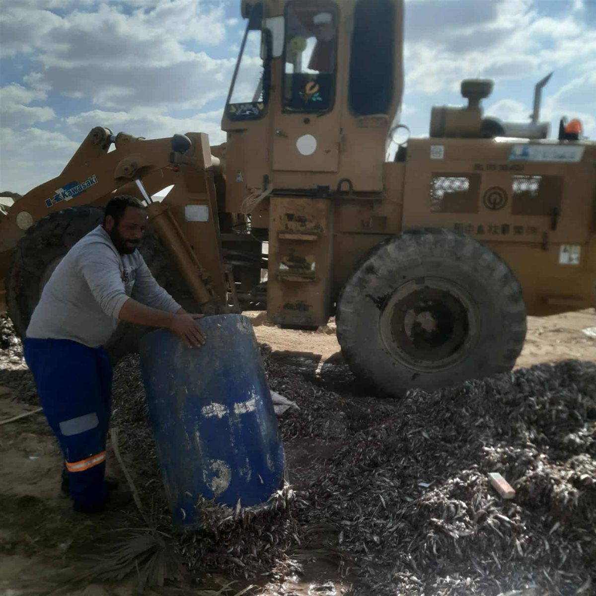 اعدام 4 أطنان من الأسماك الفاسدة بالغردقة