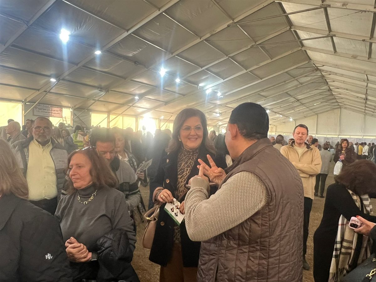 انتخابات نادي الجزيرة (10)