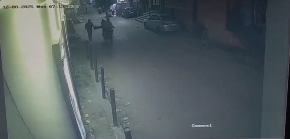 فيديو يظهر شخصين يسرقان حقيبة فتاة بشارع الهرم