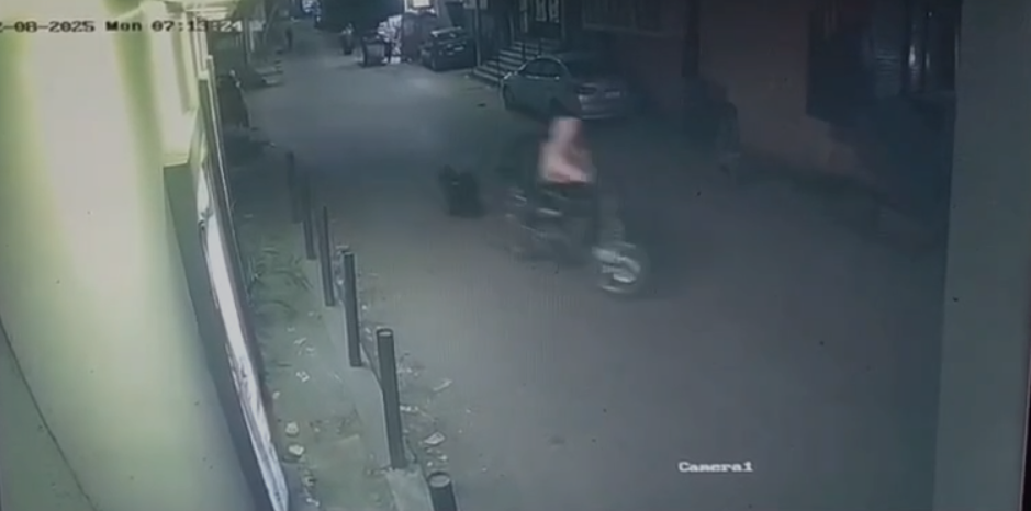 فيديو يظهر شخصين يسرقان حقيبة فتاة بشارع الهرم