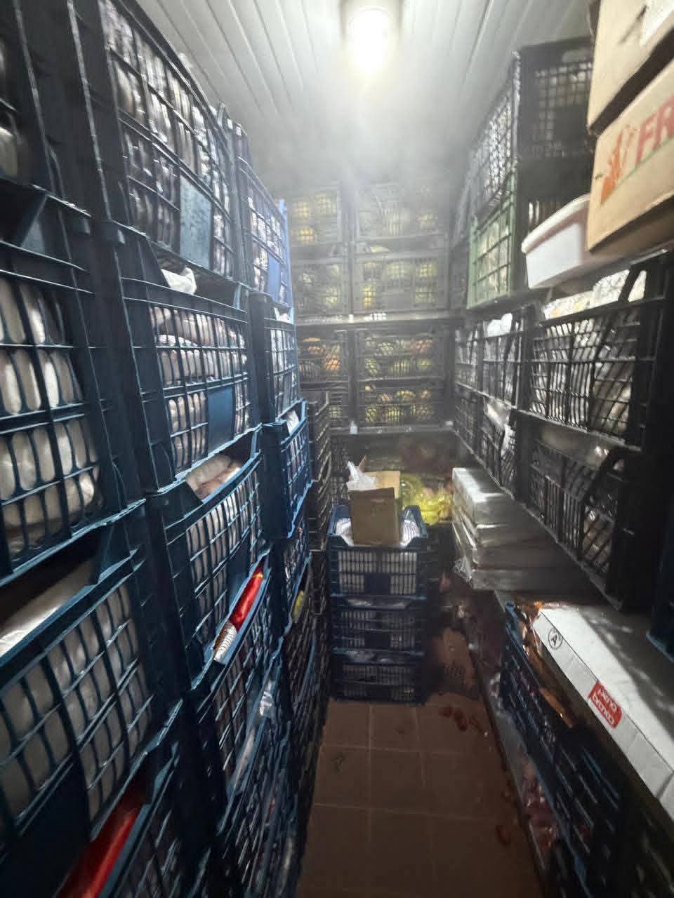 حملة لحي جنوب الغردقة 