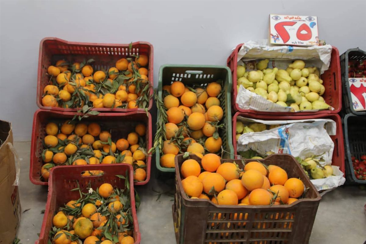 جانب من جولة محافظ الوادي الجديد