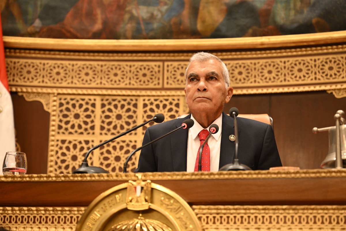 الجلسة العامة لمجلس الشيوخ