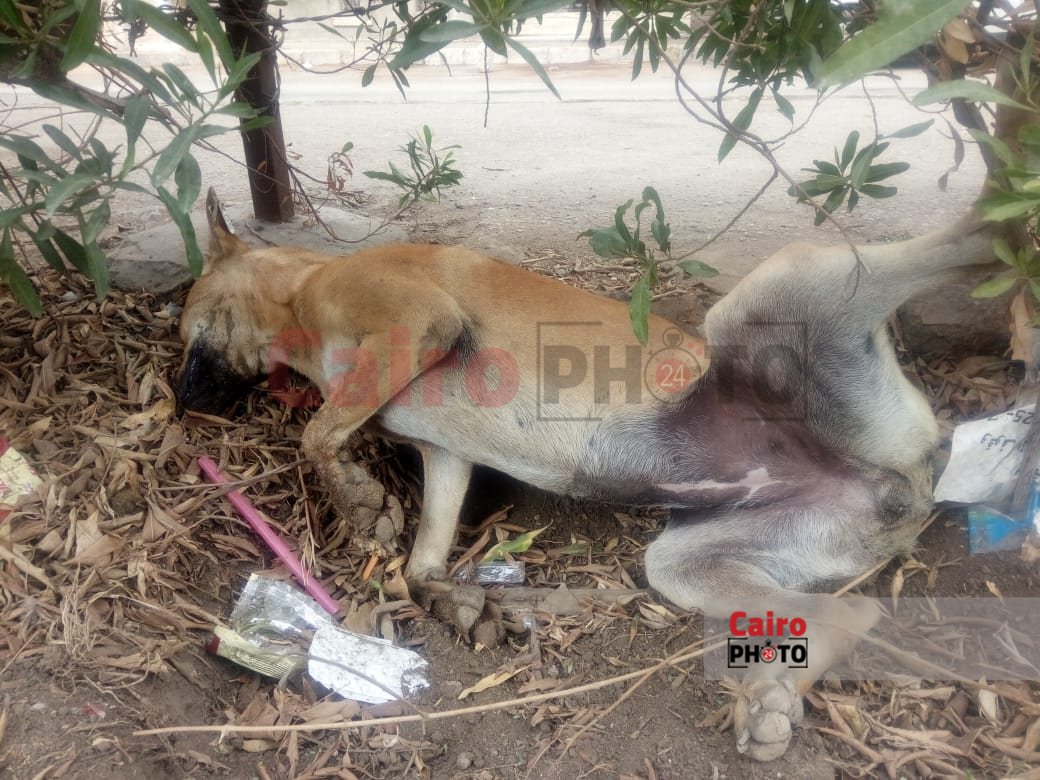 1a6ab5b5-4e53-453b-a05e-a6bf2e7903e2