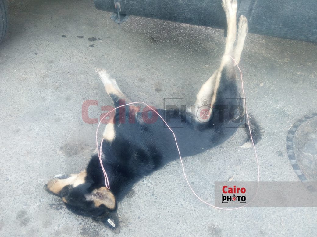 acde70e1-d930-4ac3-9e90-b828dbcd23b8