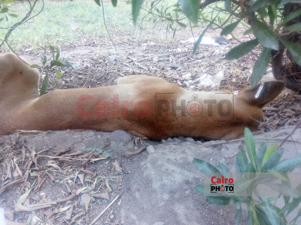 da8462a3-9fb9-459a-afdd-7dd190b01f33