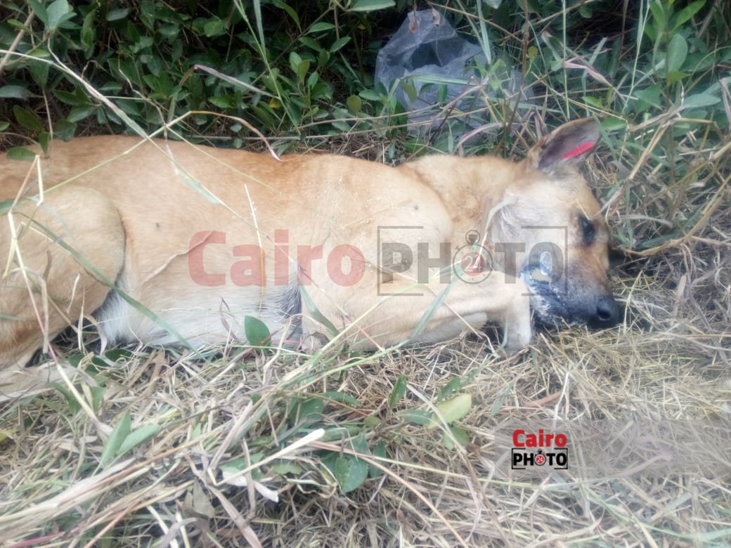 ee73273d-d605-408b-8459-4c45509f5849