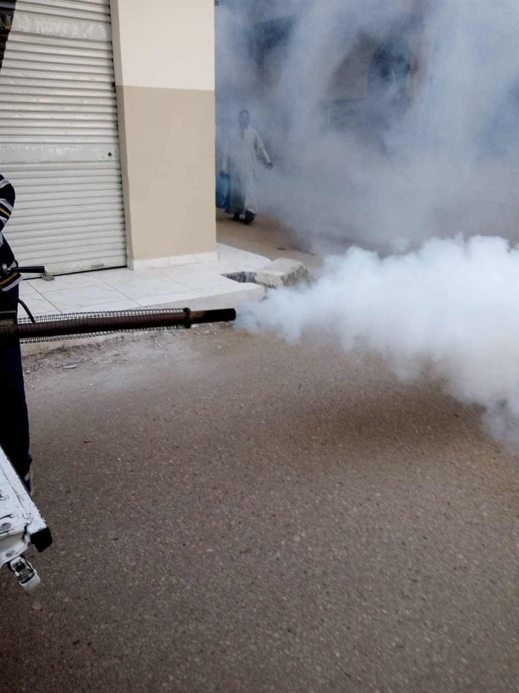 حملات تطهير مكثفة ضد الحشرات بالأقصر