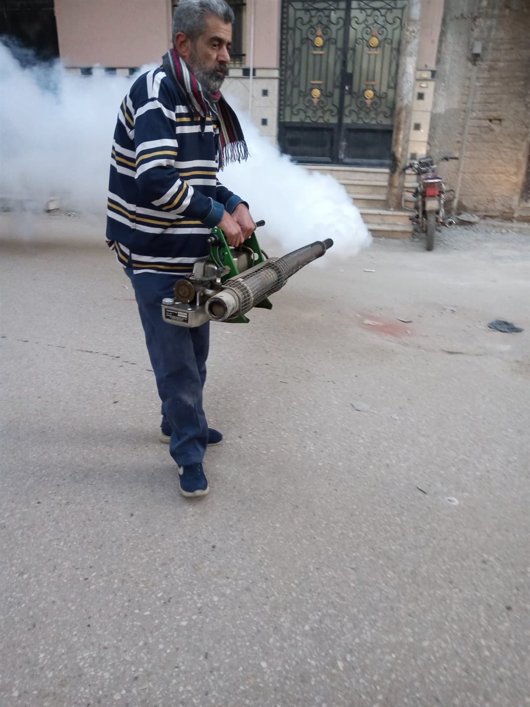 حملات تطهير مكثفة ضد الحشرات بالأقصر