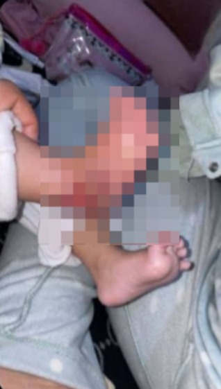 المجني عليها&nbsp;