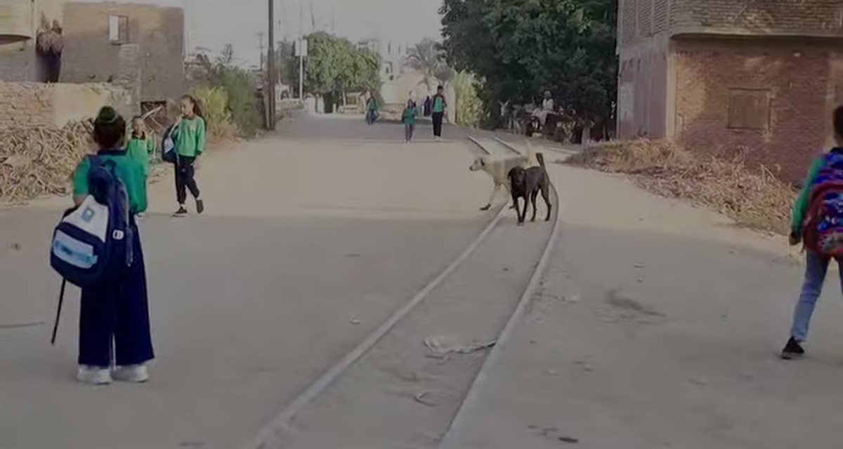 معاناة تلاميذ نجع عليو