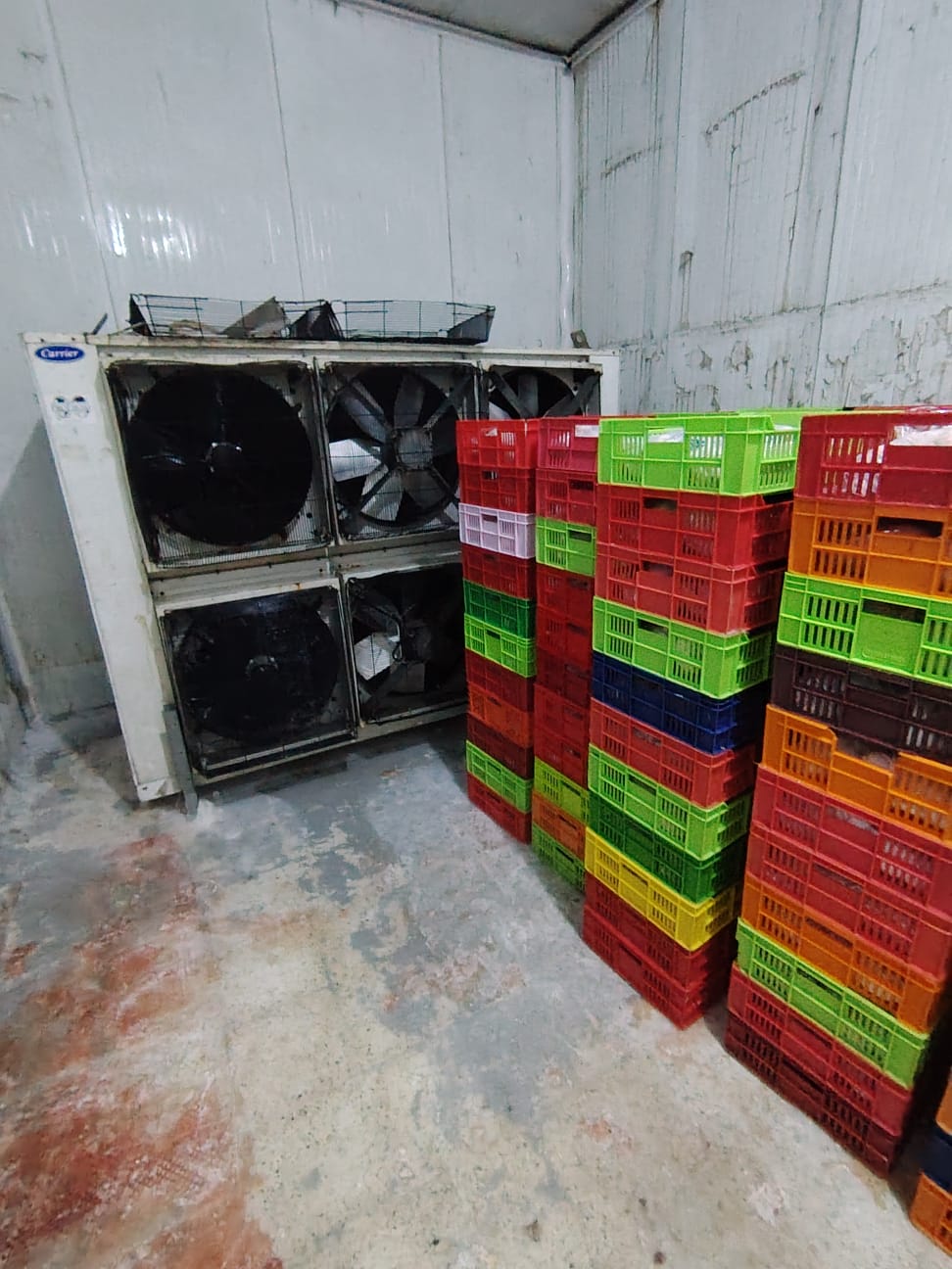 تموين الفيوم: ضبط 26 مخالفة تموينية ومصادرة 14 شيكارة سماد محظور تداولها