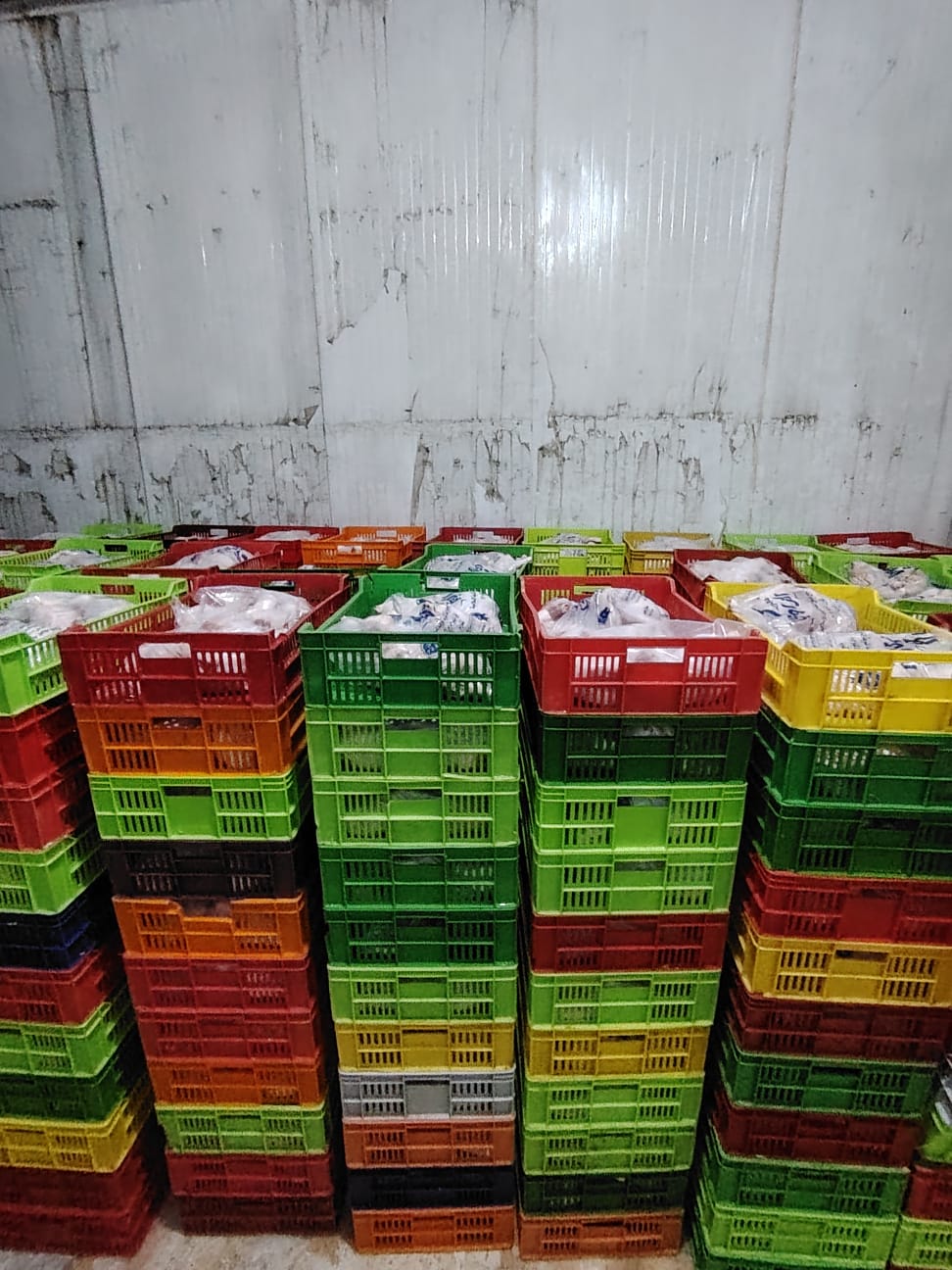 تموين الفيوم: ضبط 26 مخالفة تموينية ومصادرة 14 شيكارة سماد محظور تداولها