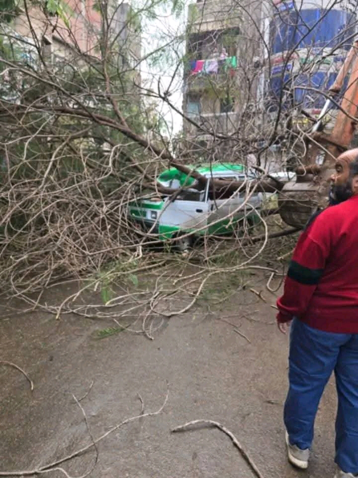 الشجرة وقعت عليهم.. إصابة شخص وإتلاف سيارة أجرة بدمنهور