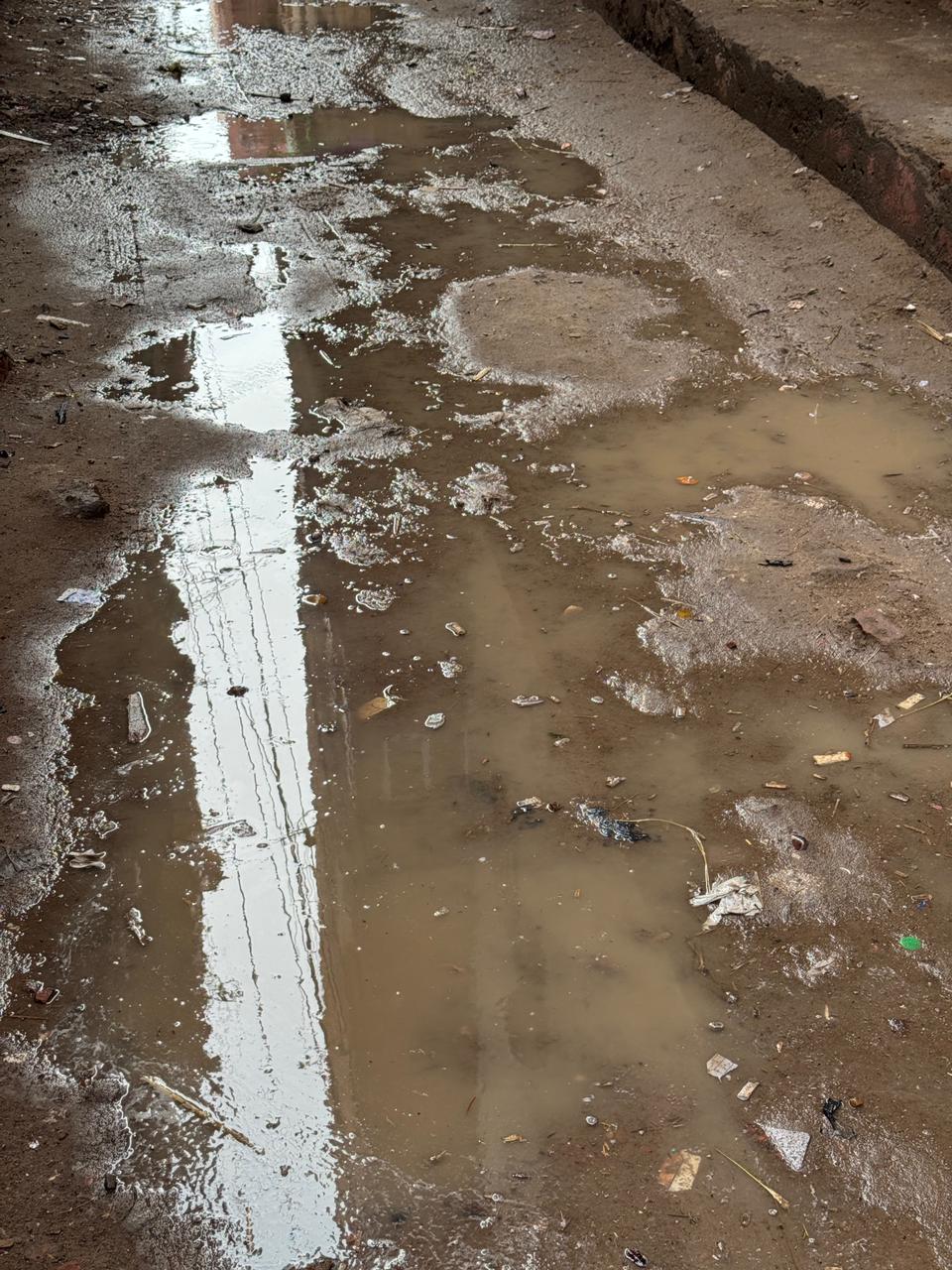 سقوط أمطار علي مدن كفر الشيخ&nbsp;