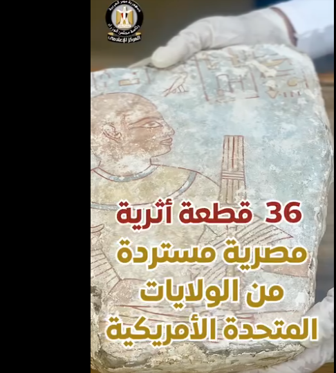 فيديوجراف المركز الإعلامي لمجلس الوزراء