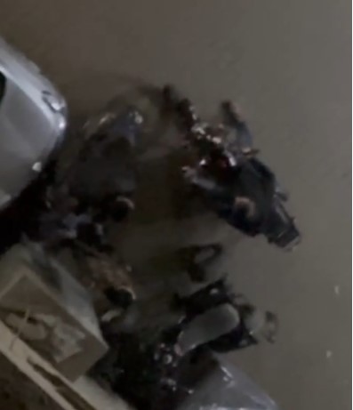 جانب من الواقعة