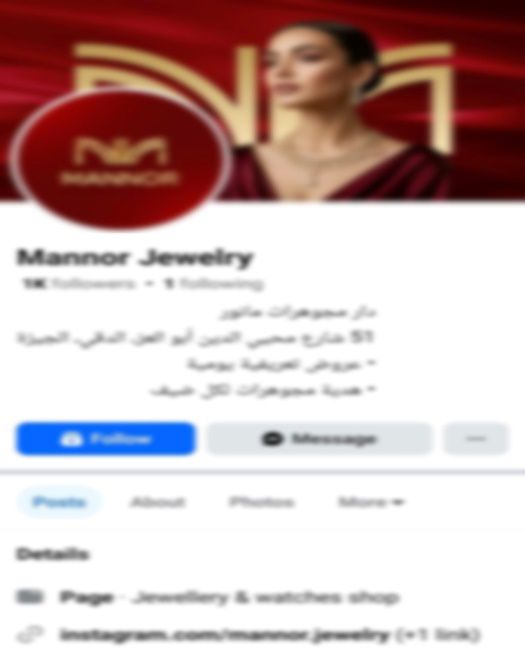 ضبط عصابة دولية