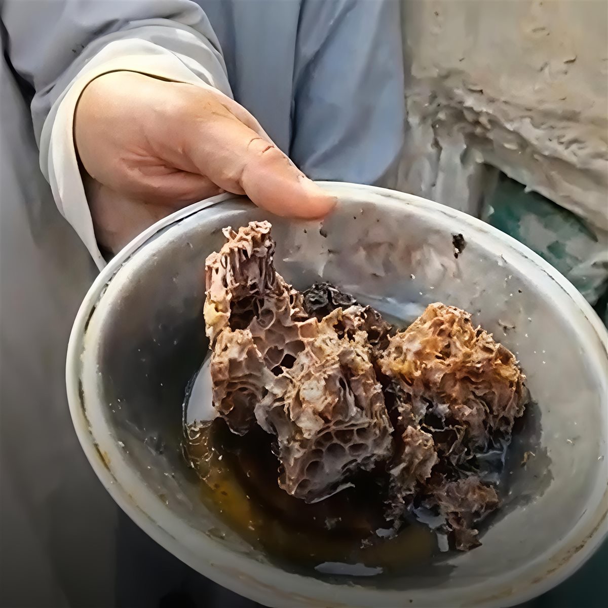 باقي العسل في مقبرة بالمنوفية&nbsp;