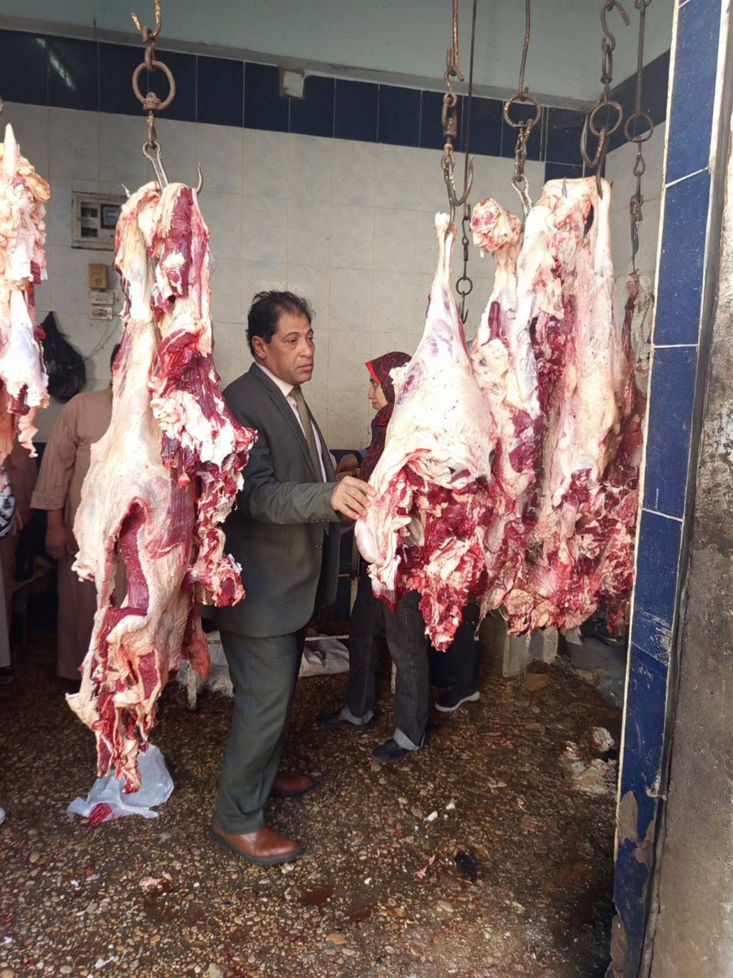 حملات مكثفة للطب البيطري بالأقصر