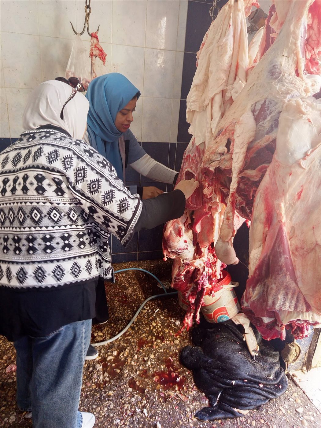 حملات مكثفة للطب البيطري بالأقصر