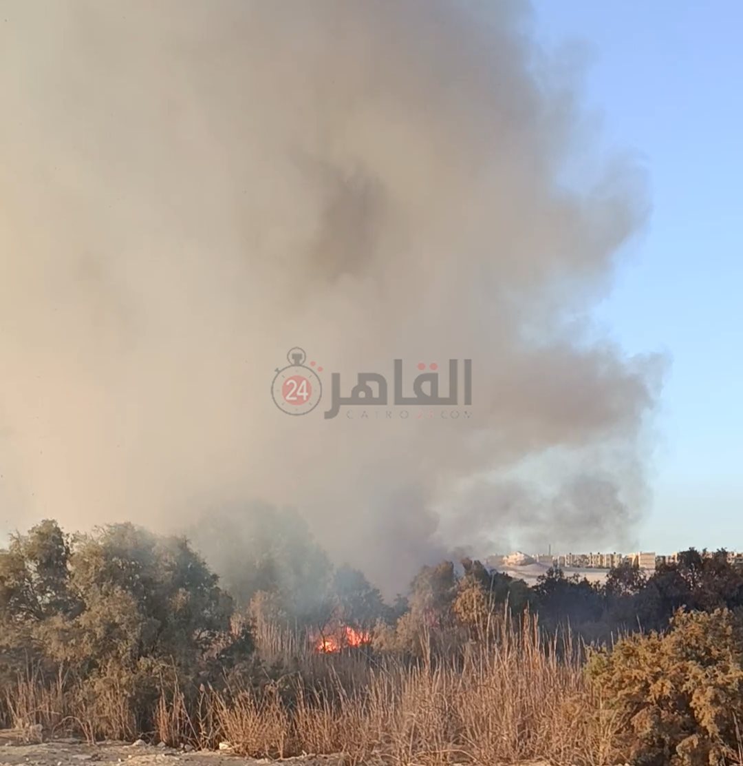 جانب من الحريق 