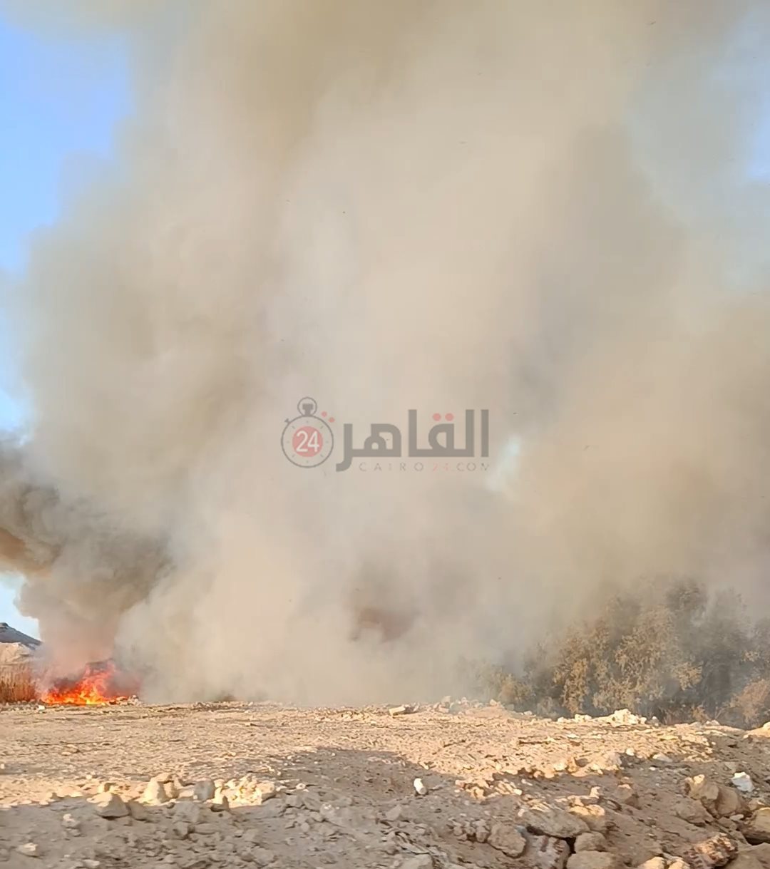 جانب من الحريق 