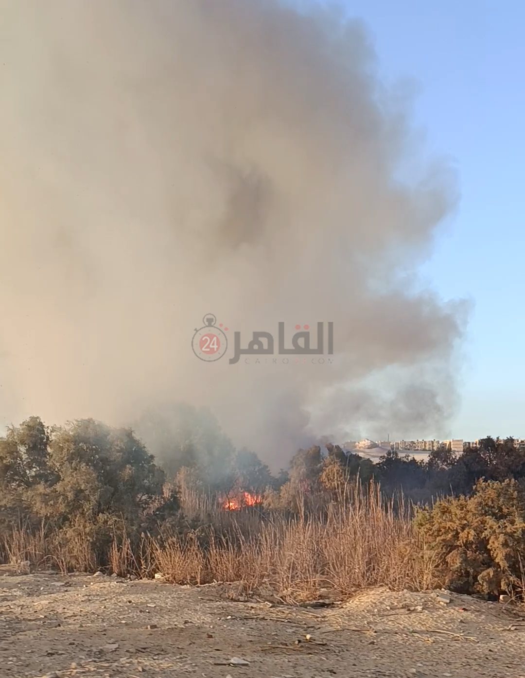 جانب من الحريق 